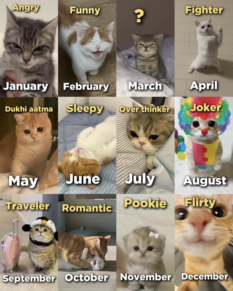 xaniimals's tweet image. Choose yours 🎀