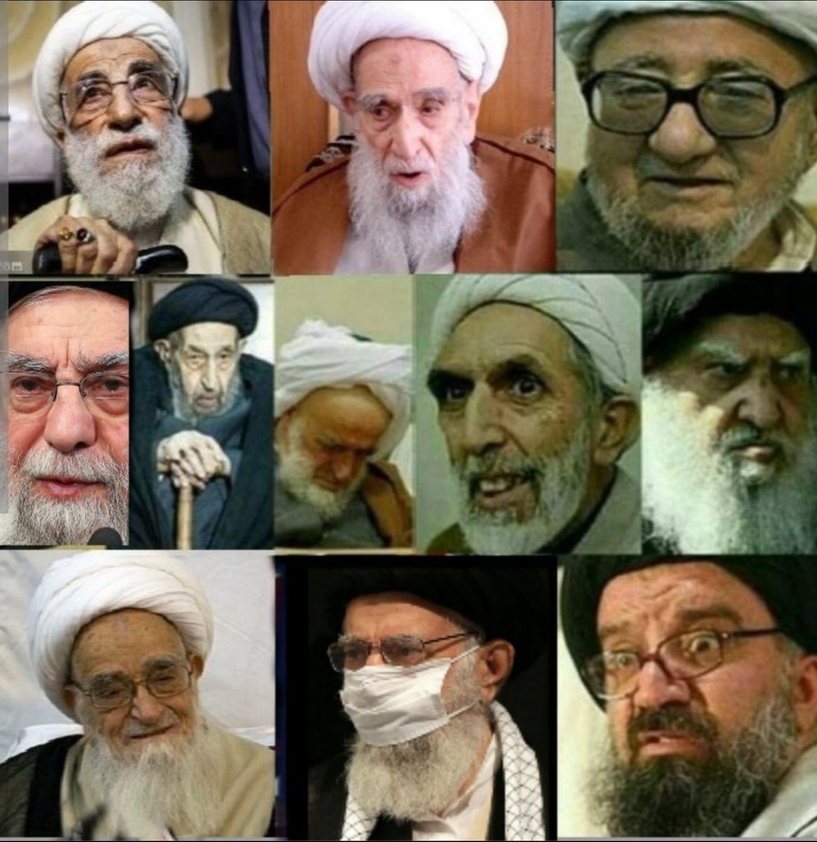 فلوکی tweet media