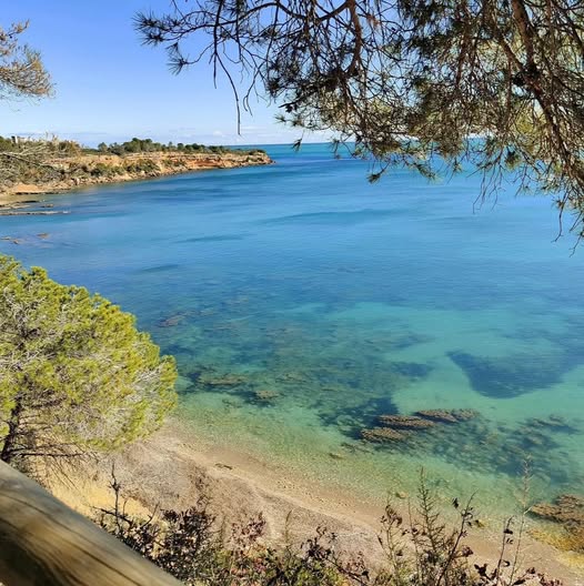lampollaturisme's tweet image. No és el Carib… és L’Ampolla 💙

Aigües cristal·lines perfectes per descobrir el fons marí 🤿

📷 Descobreix totes les cales i platges:
shorturl.at/bHYAc

Foto de pawel_jju©

#lAmpolla #DeltadelEbre #TerresdelEbre #CatalunyaExperience 

@terresebretur @catexperience