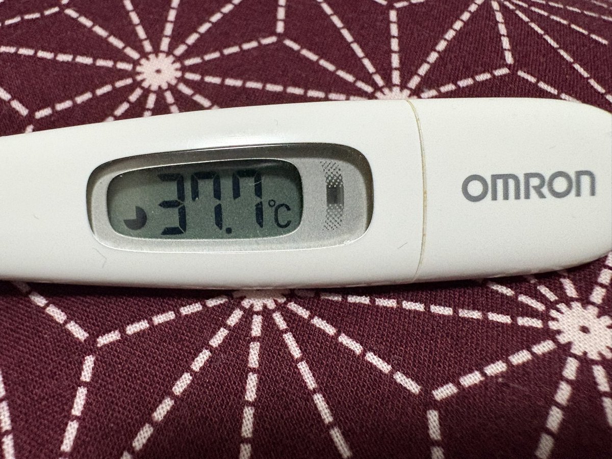 オトモクック＠壊獣 tweet media