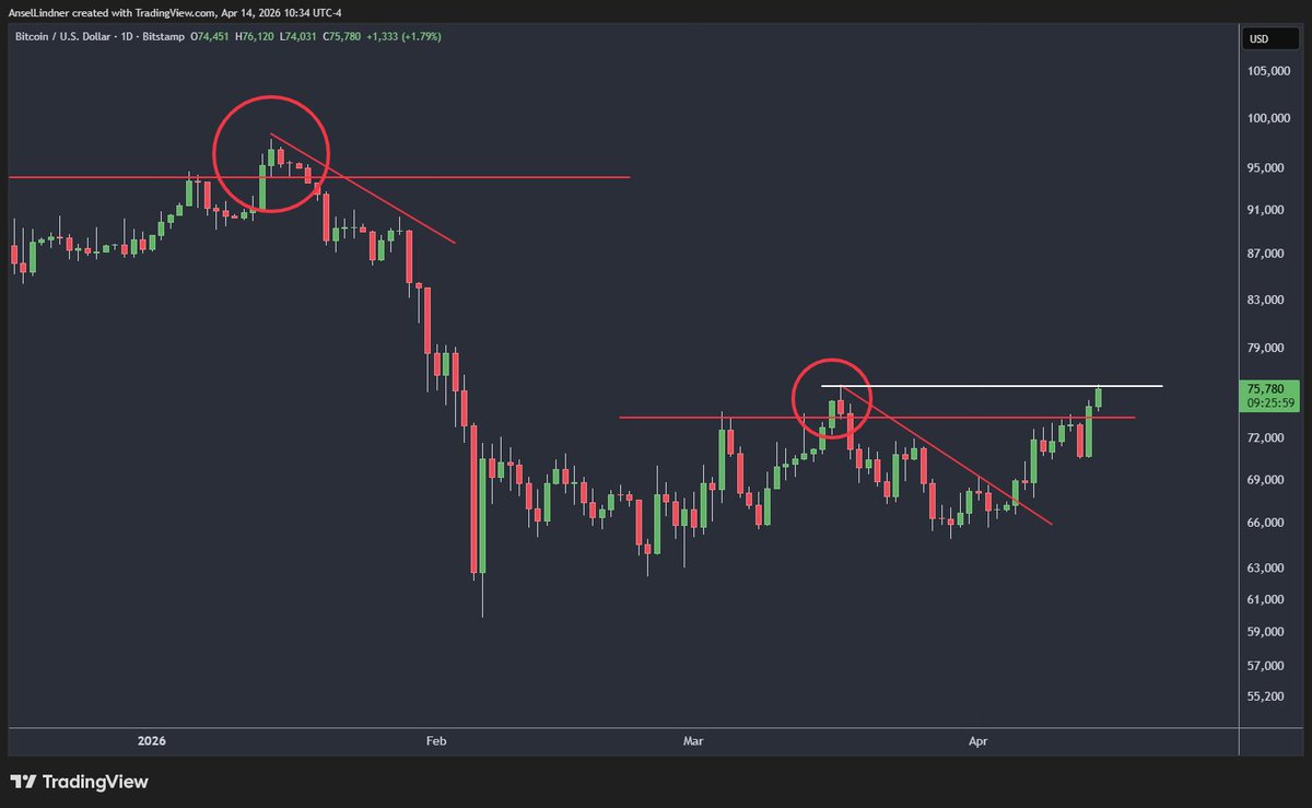 Ansel Lindner tweet media