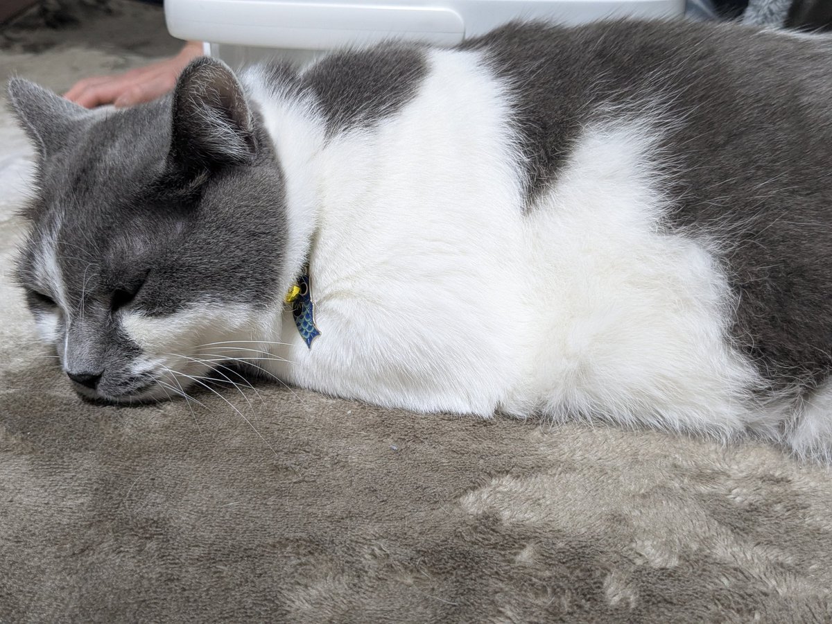 suvta@腰痛ちゅう tweet media