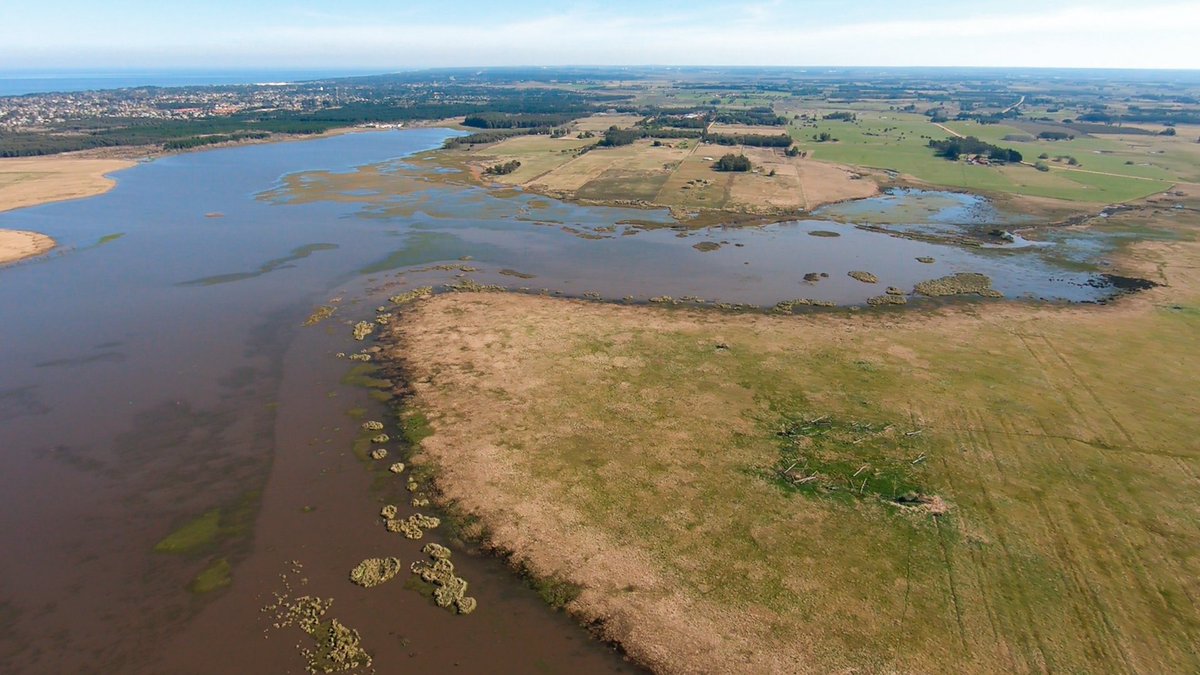 💦 Preocupación por denuncias por “hostigamiento” contra defensores de Laguna del Cisne

El Grupo de Trabajo de Cátedra de DDHH de <a href="/Udelaruy/">Universidad de la República</a> y <a href="/UNESCO/">UNESCO 🏛️ #Education #Sciences #Culture 🇺🇳</a> preocupada porque miembros del colectivo son hostigados por impulsores de complejo privado en la zona

👉 bit.ly/41xFf46