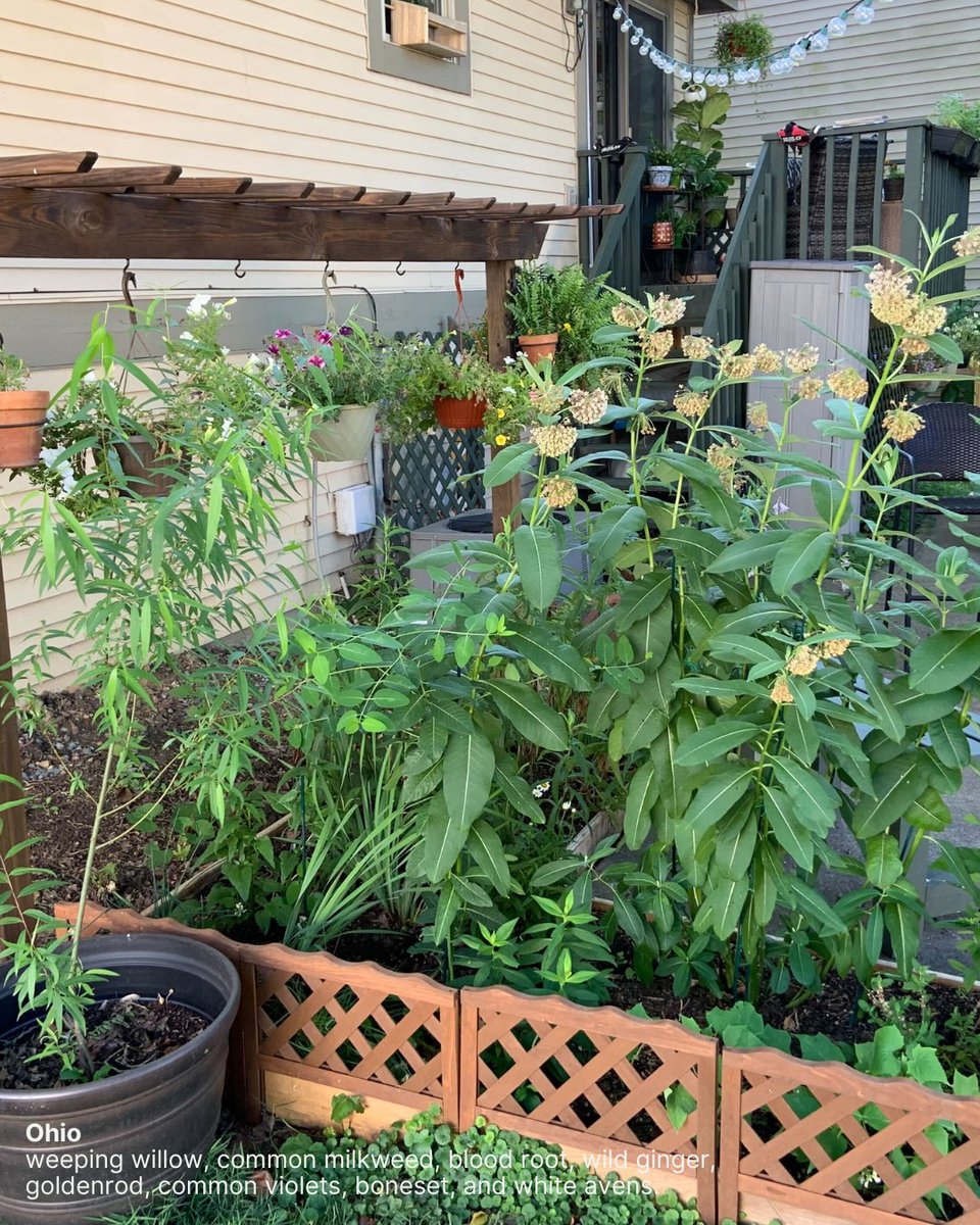 American Bird Conservancy tweet media