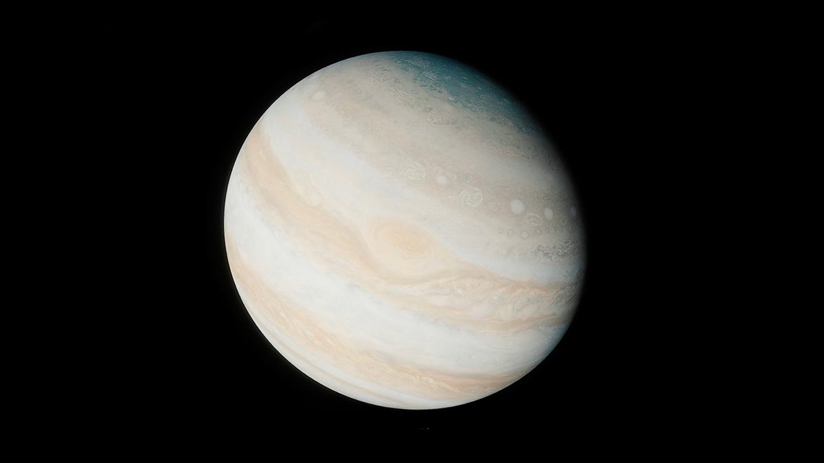 지대세★띵 tweet media