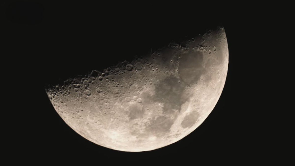 지대세★띵 tweet media