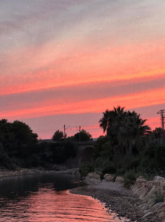 lampollaturisme's tweet image. Pura màgia 🧡

A vegades a l'Ampolla, el capvespre té un altre nivell...

- Què fer l'Ampolla?  shorturl.at/KiqYs

Foto de ilinca.olarasu©

#lAmpolla #DeltadelEbre #TerresdelEbre #CatalunyaExperience #inLOVEwithCatalonia #VilesMarineres

@terresebretur @catexperience