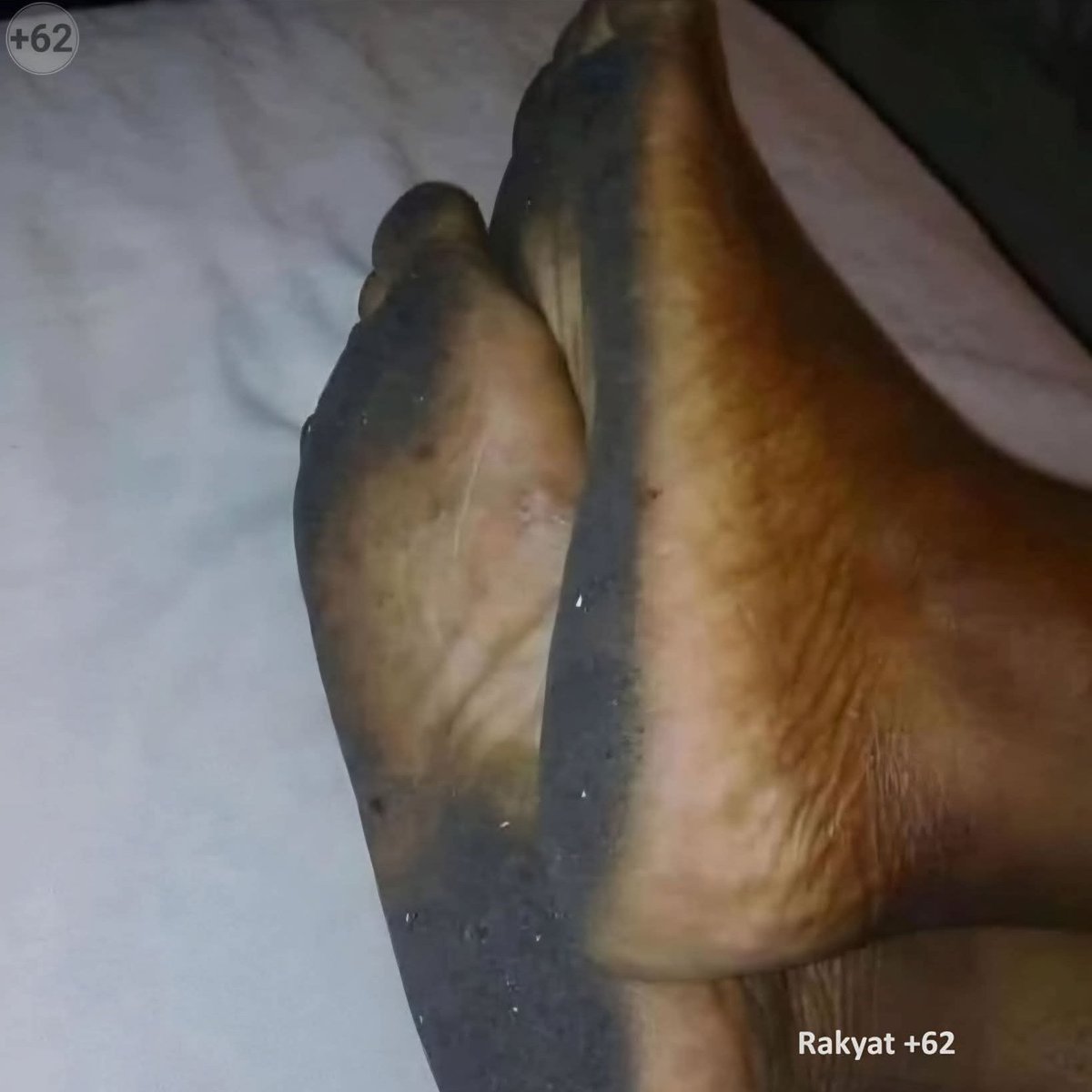 Jawafess tweet media