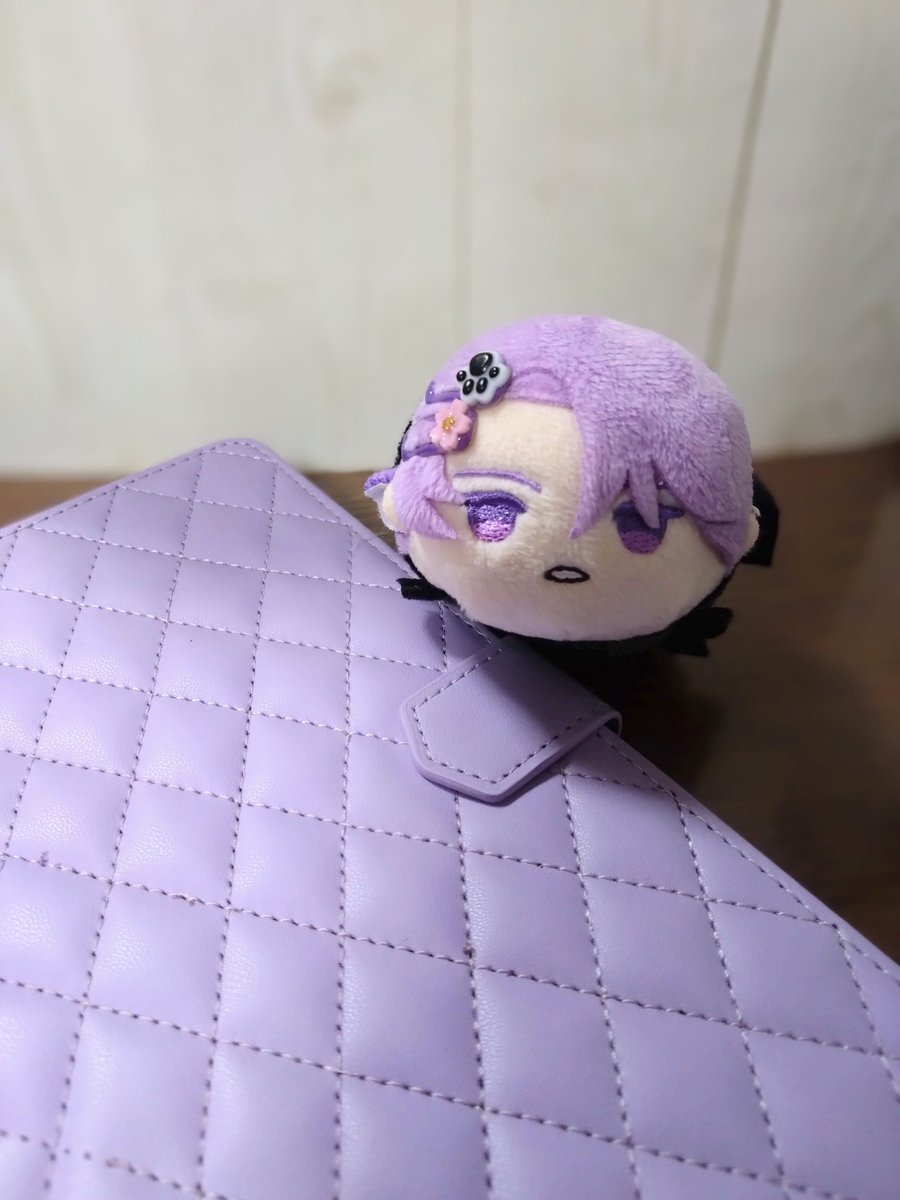 長義の生え際(ちよこ) tweet media