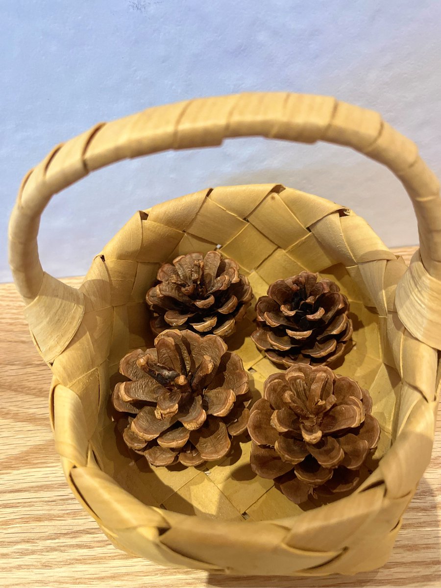 DarekTeczar's tweet photo. Handmade charm alert! Spent the afternoon weaving this dainty macramé keychain—natural cotton, cute tassel, perfect for jazzing up your keys or bag. Slow, cozy, and full of love. What’s your latest handmade win https://t.co/x3vOz6nggi