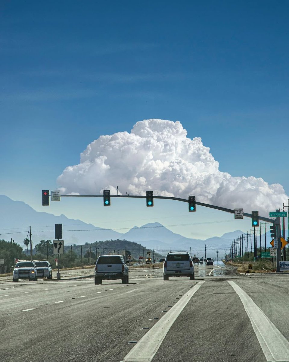 Aesthetics 𝕏 tweet media