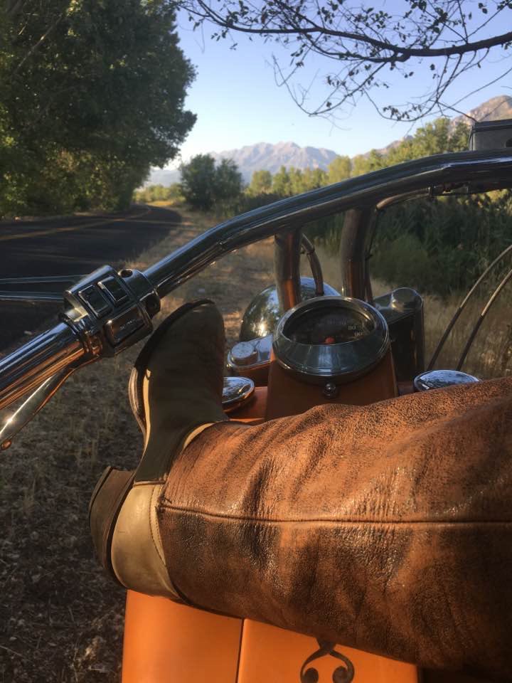 soapdog13's tweet image. 