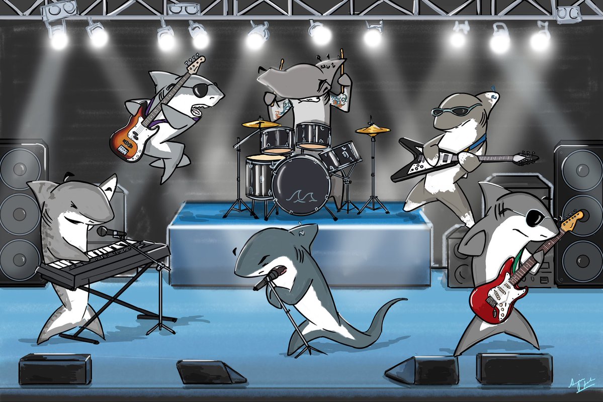 Anju Sabu🦈 tweet media