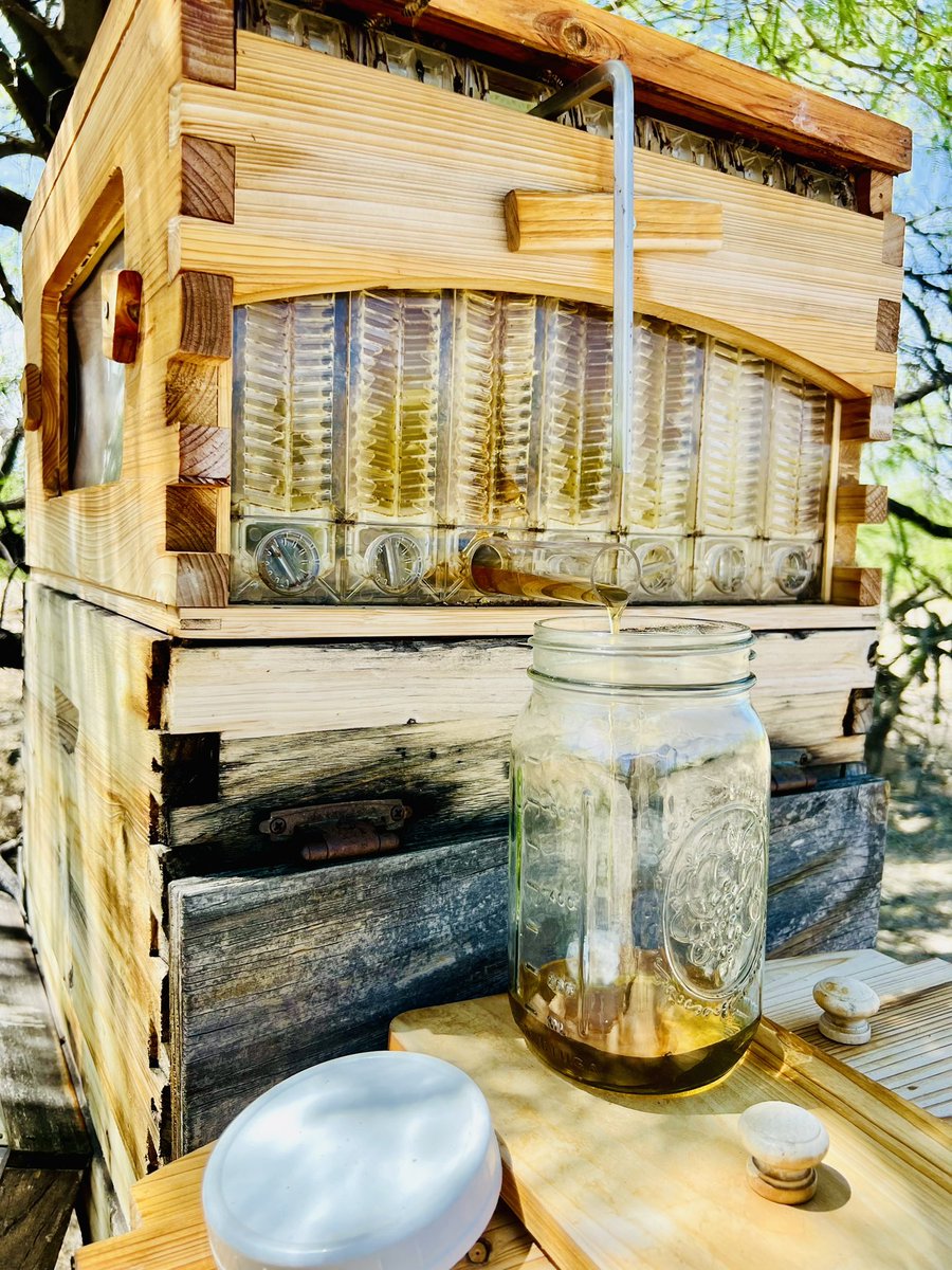 MyLittleHomestead tweet media