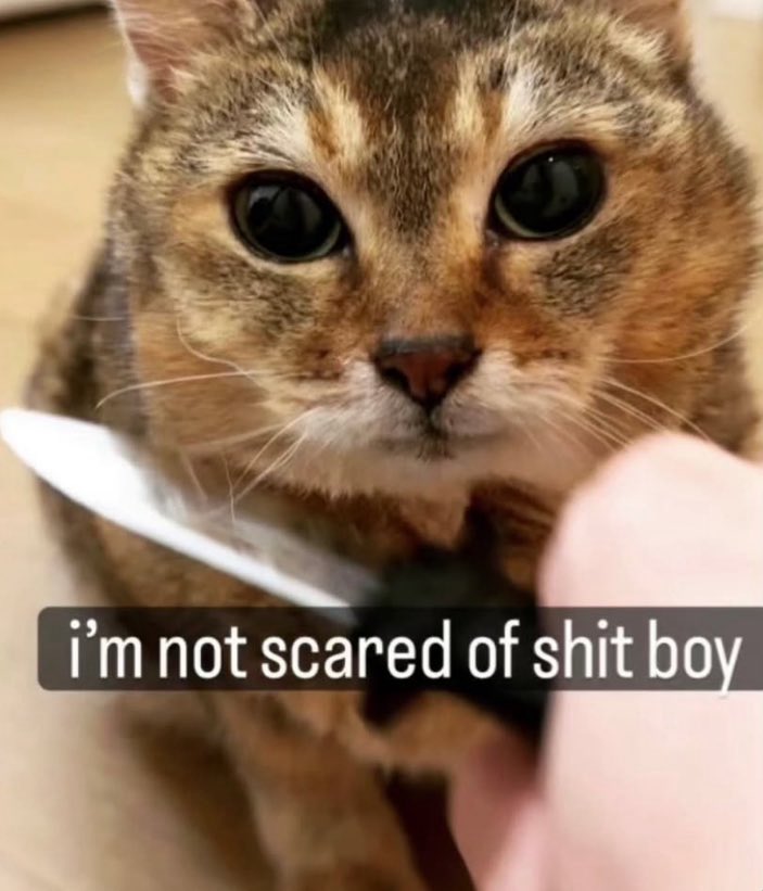 CopTheFit 🔞 tweet media