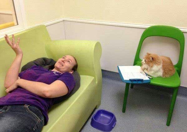 𝙎𝙚𝙧𝙥 🥀 tweet media