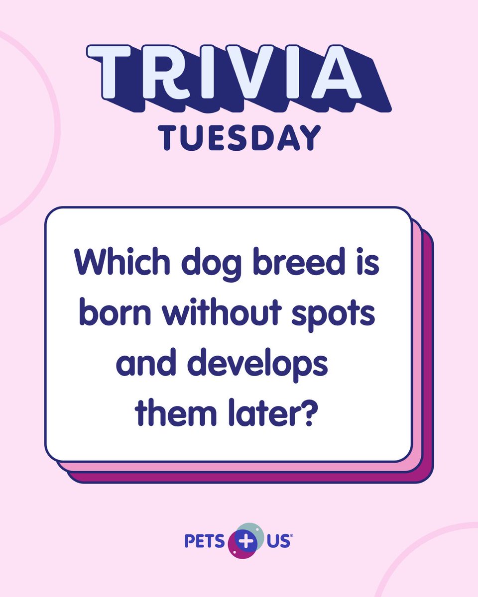 Pets Plus Us tweet media