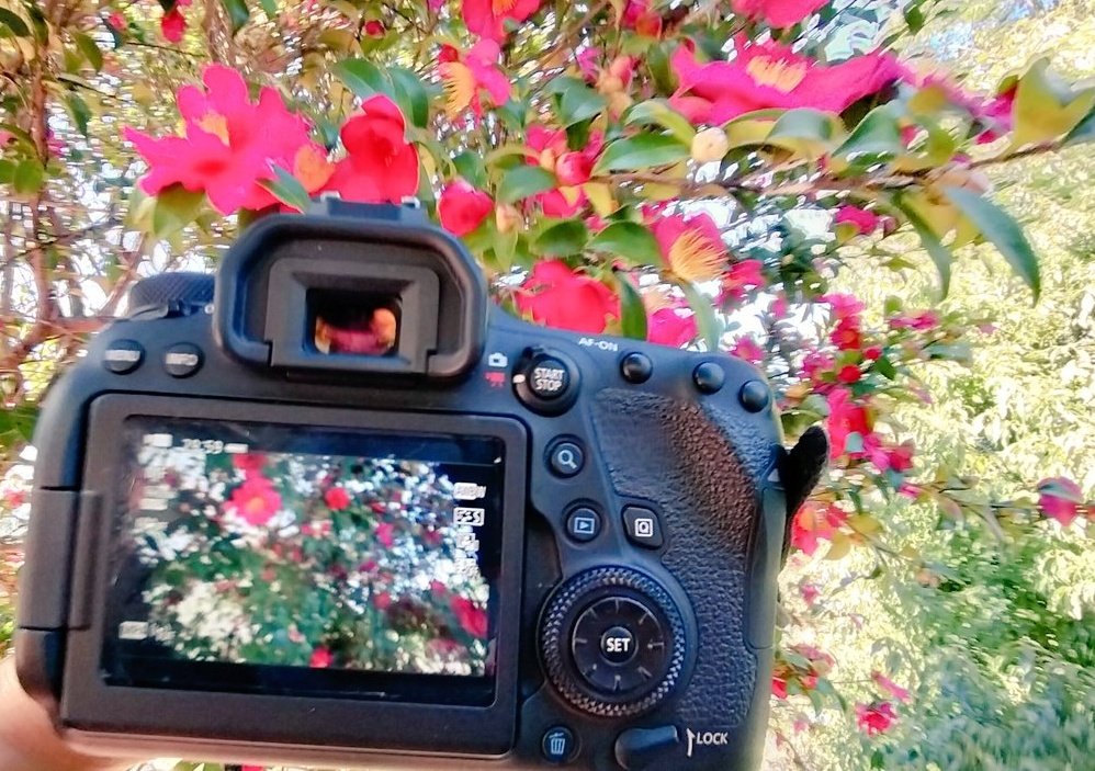 東山📸 tweet media