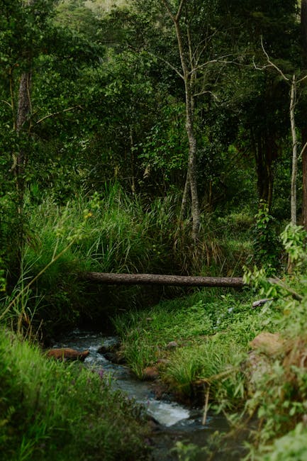 Anne Hall tweet media