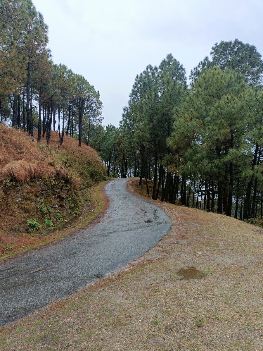 Vivekizm's tweet photo. Let's see your photograph of roads. https://t.co/kVwmw6lStV