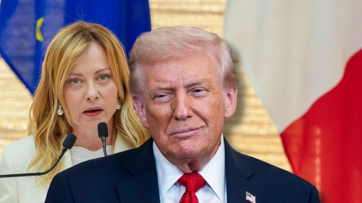 Alerta Mundial tweet media