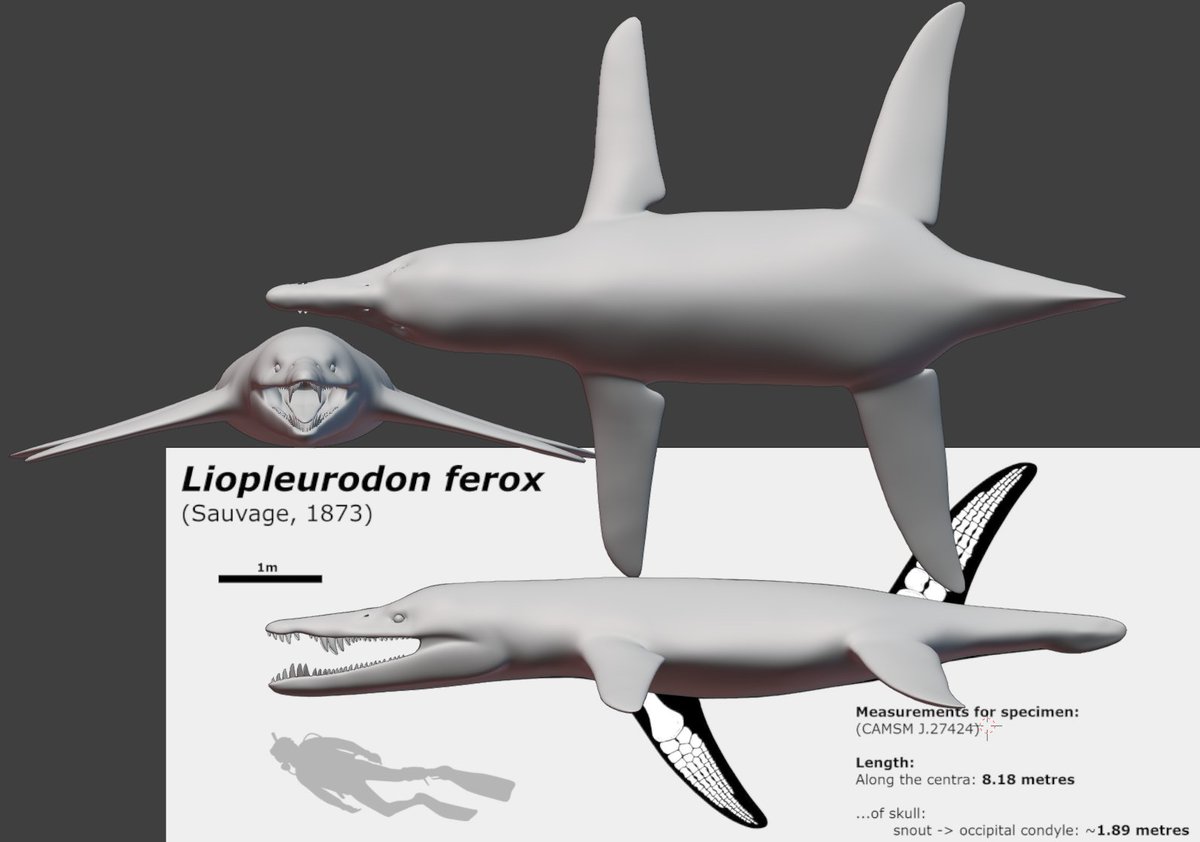 Ender_2907's tweet image. Liopleurodon ferox GDI by Ender Funkei , reference by Dan Folkes / edit by johnraptor7777
Volume: 6773.7 L 
Density: 1.04
Mass: 7044.6 kg