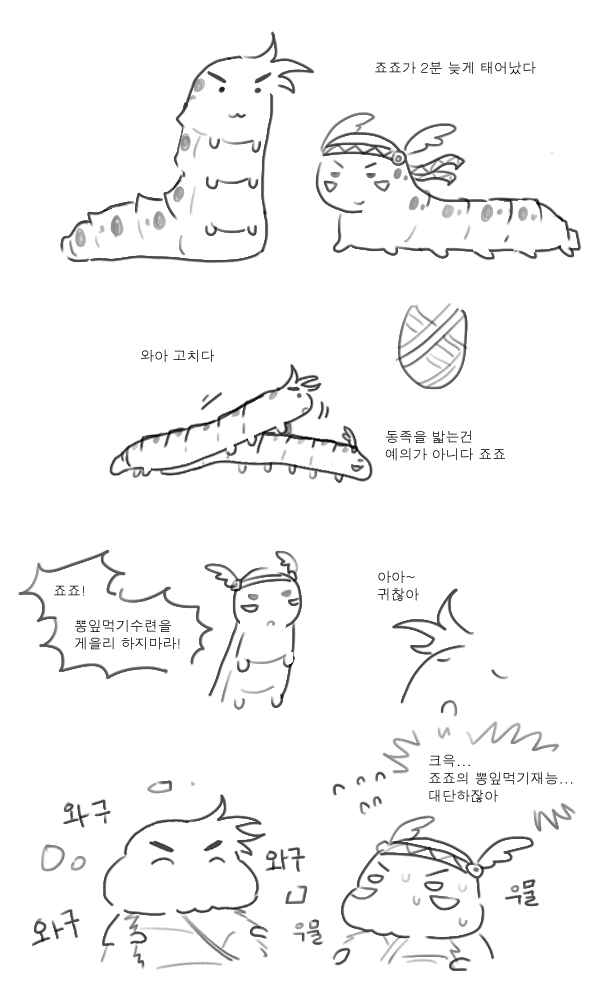 톤티 tweet media