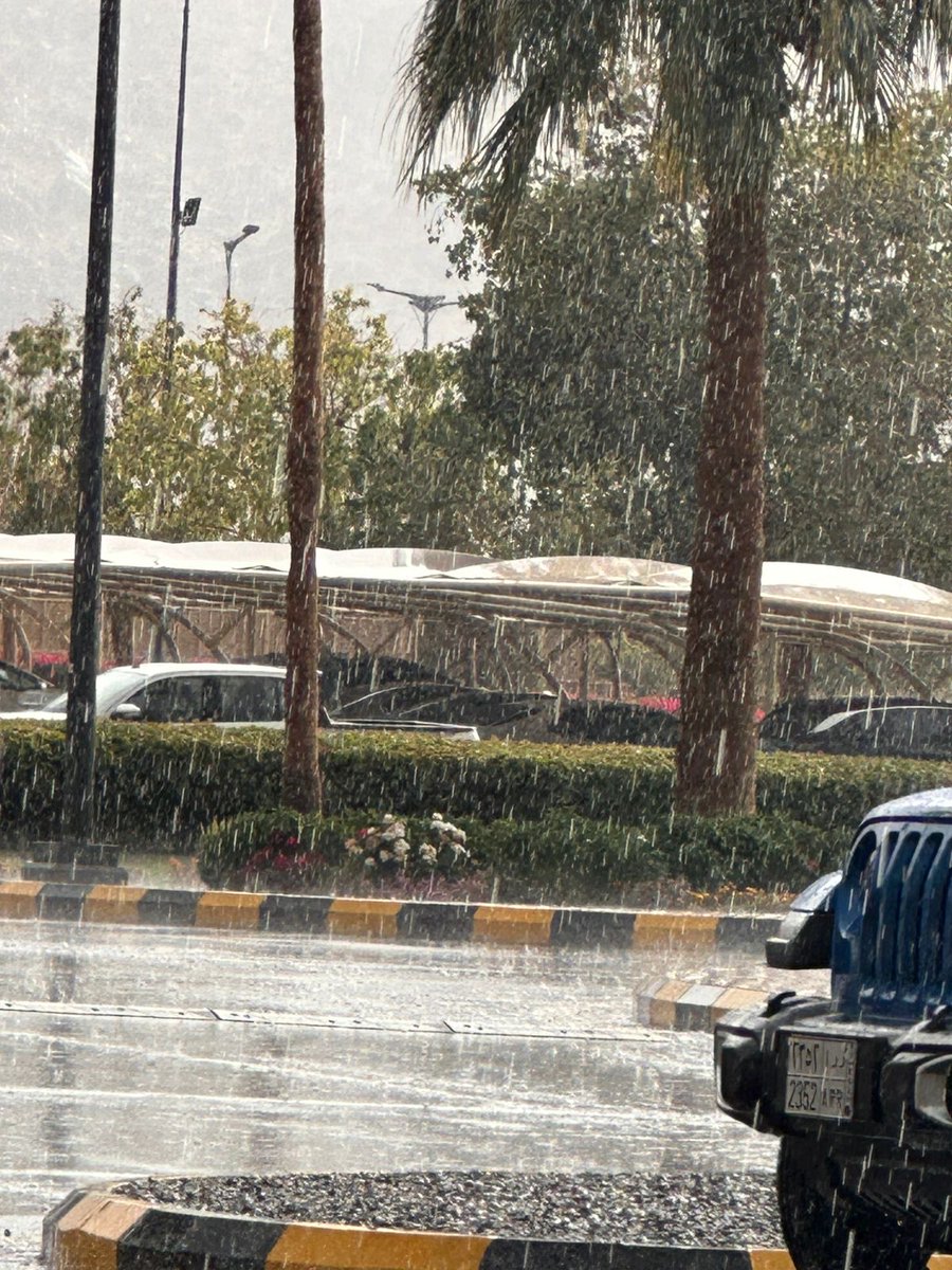 _iLolla's tweet photo. #امطار_المدينة
المدينة الأن 
جبر خاطر وَ جبر حياة🌧️ https://t.co/z946a7it9A