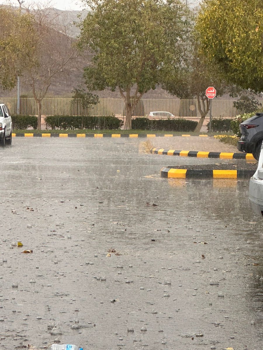 _iLolla's tweet photo. #امطار_المدينة
المدينة الأن 
جبر خاطر وَ جبر حياة🌧️ https://t.co/z946a7it9A