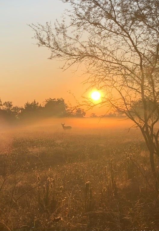 Loeka02's tweet image. ✨ Circle of Light ✨

"May every heart that reads this line,
Find the strength where courage shines.
Let’s be the light in someone’s day,
And chase the heavy clouds away.

Together, we are more than gold." 

✨🤝🕊️
#XCommunity #Kindness #SpreadLight