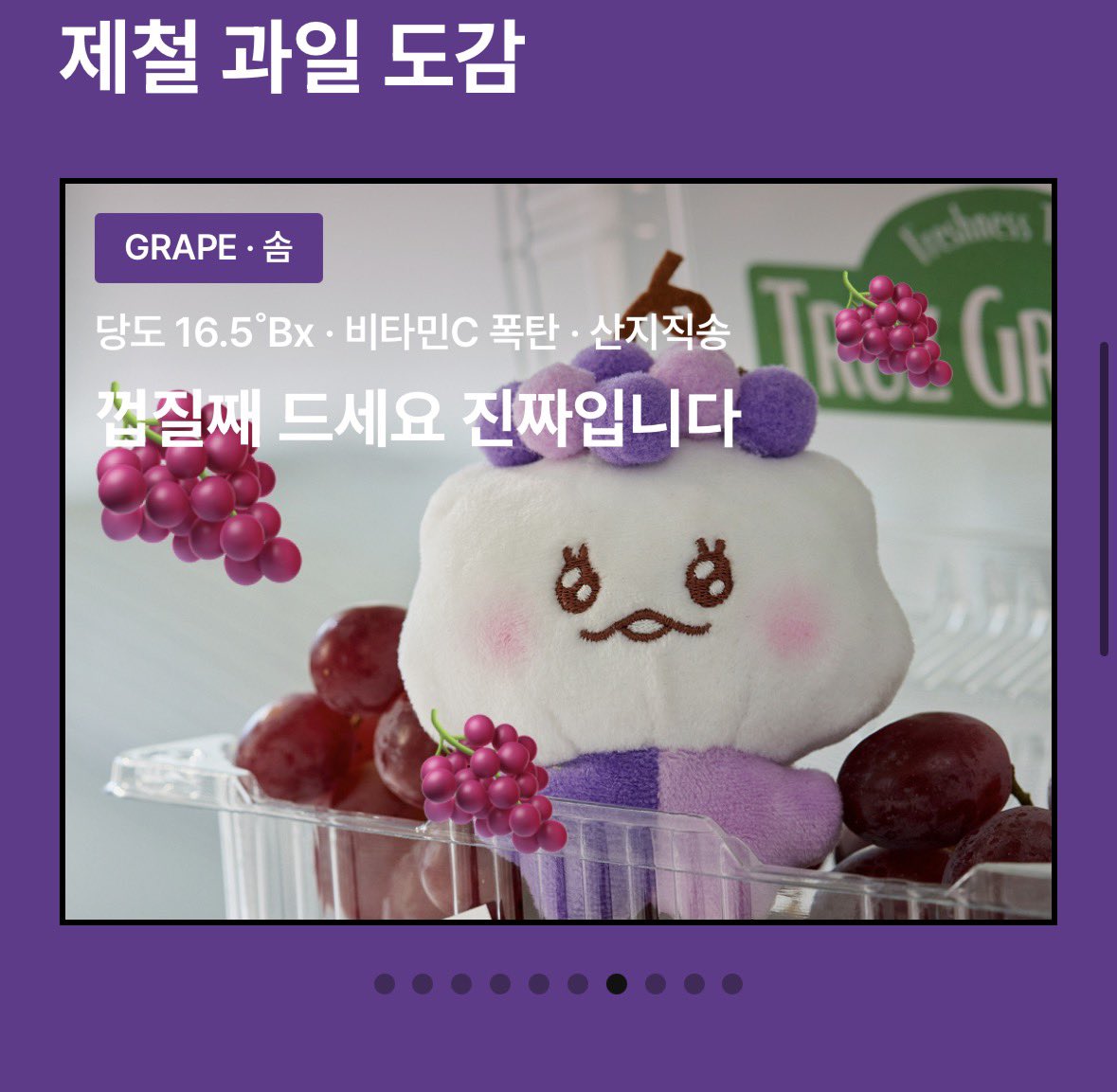 SUI_0R's tweet photo. ぶどうの帽子がよくお似合いです🍇🫶
#truz https://t.co/UDWb52Lz9r
