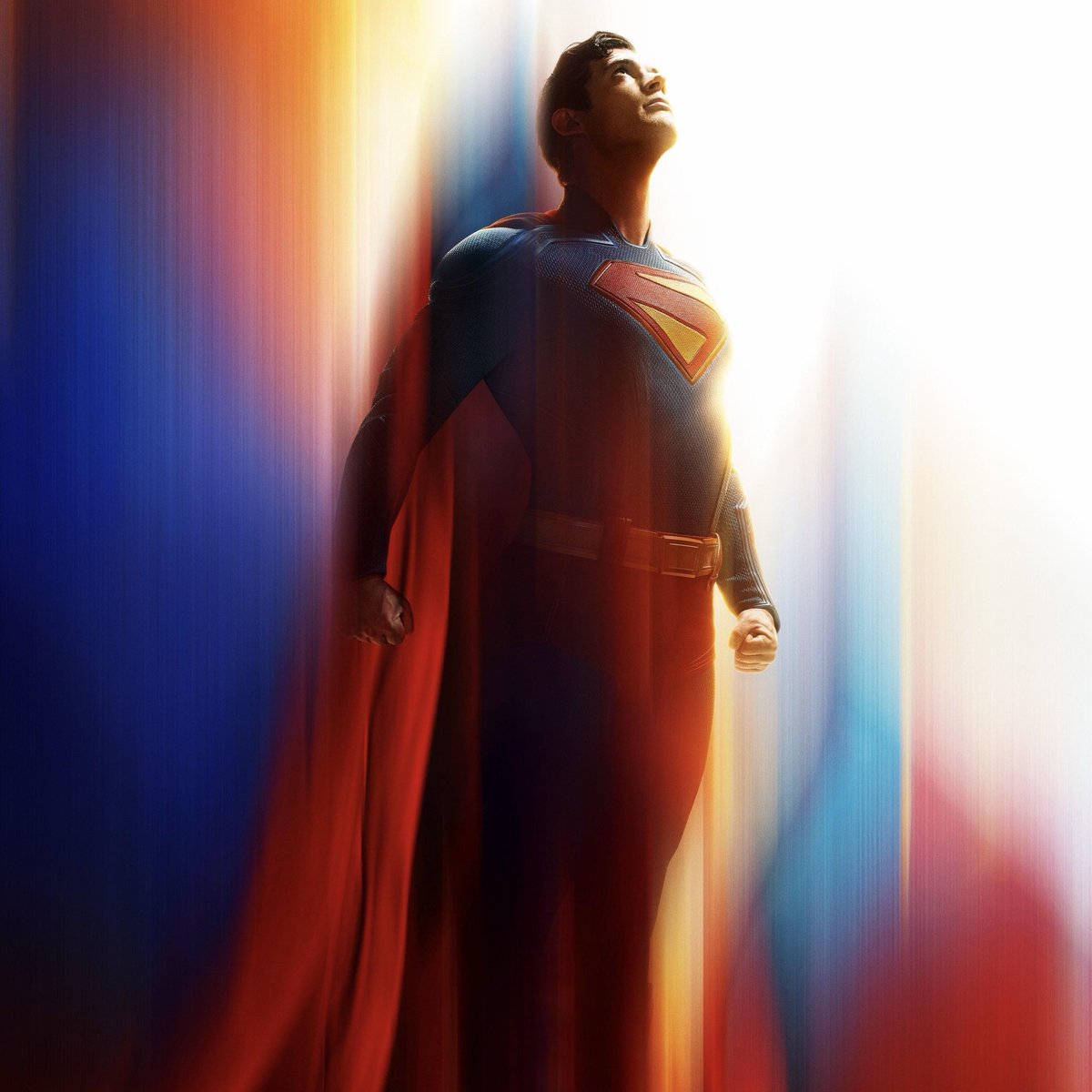 The Hollywood Handle tweet media