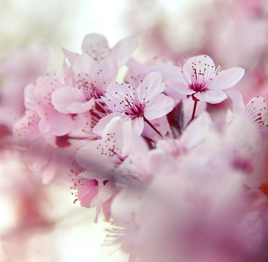 Cian McCarthy tweet media