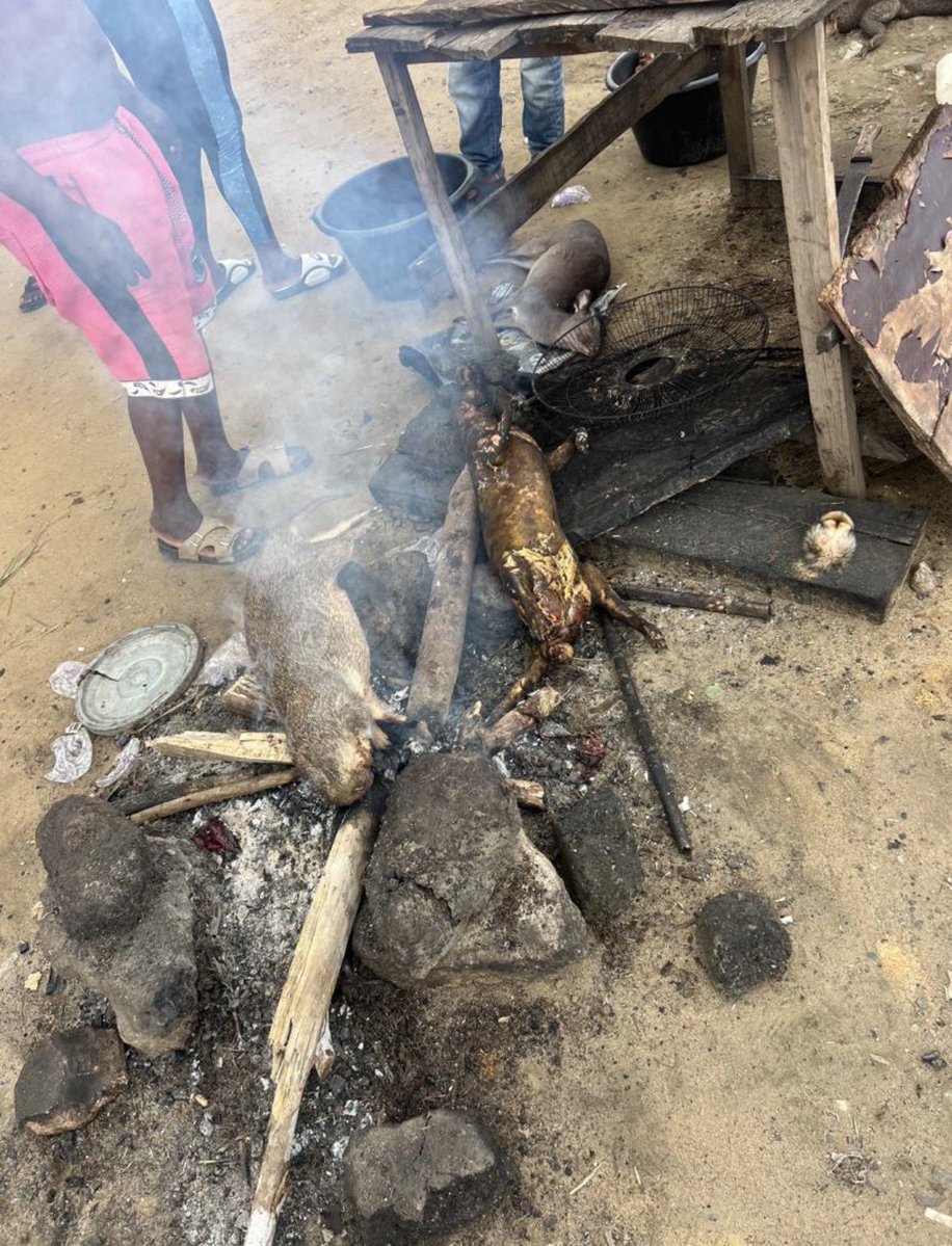 Adenike 🧕🏽 tweet media