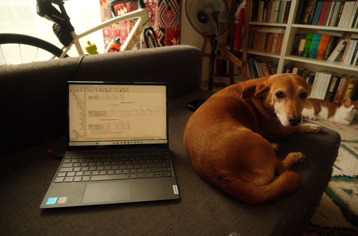 Fulya Fulyiç Oblomov 🇪🇸♥️🇹🇷 tweet media