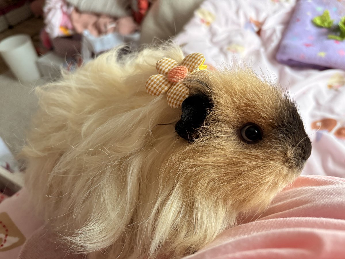 ⋆｡‧˚ʚ eleanor ɞ˚‧｡⋆ tweet media