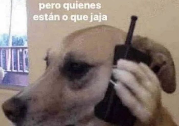 El Pandita Rojo tweet media