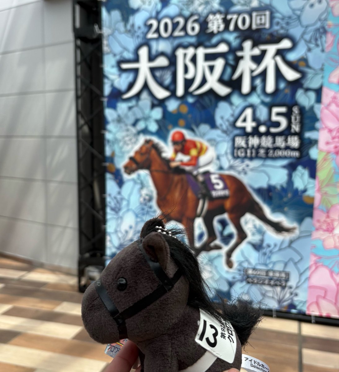 平野詩乃 Shino Hirano tweet media