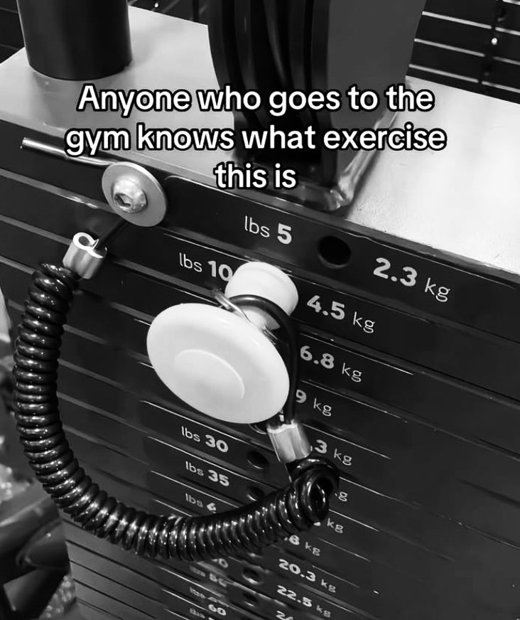 Micheal D tweet media