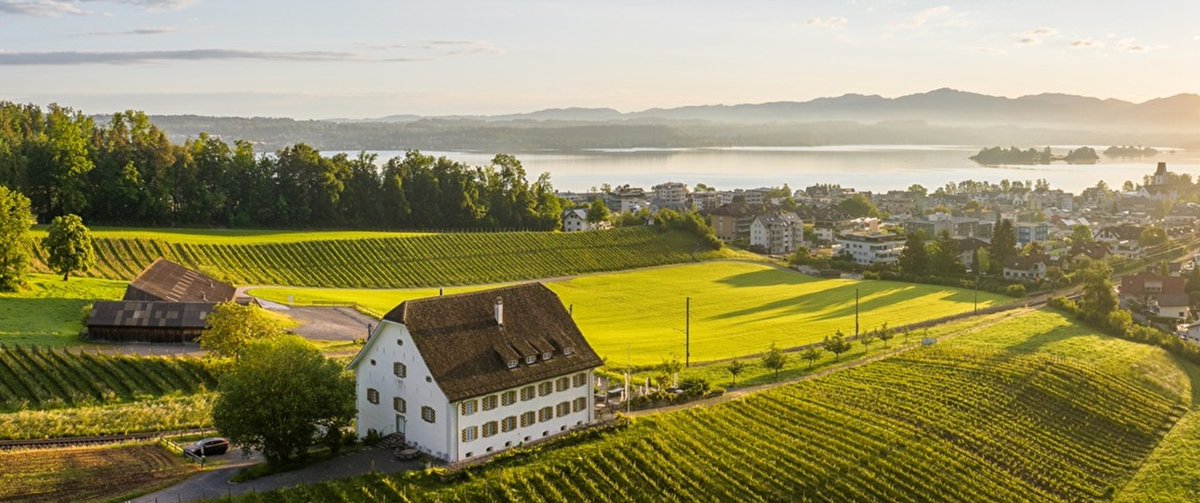 Alessandro Palombo tweet media