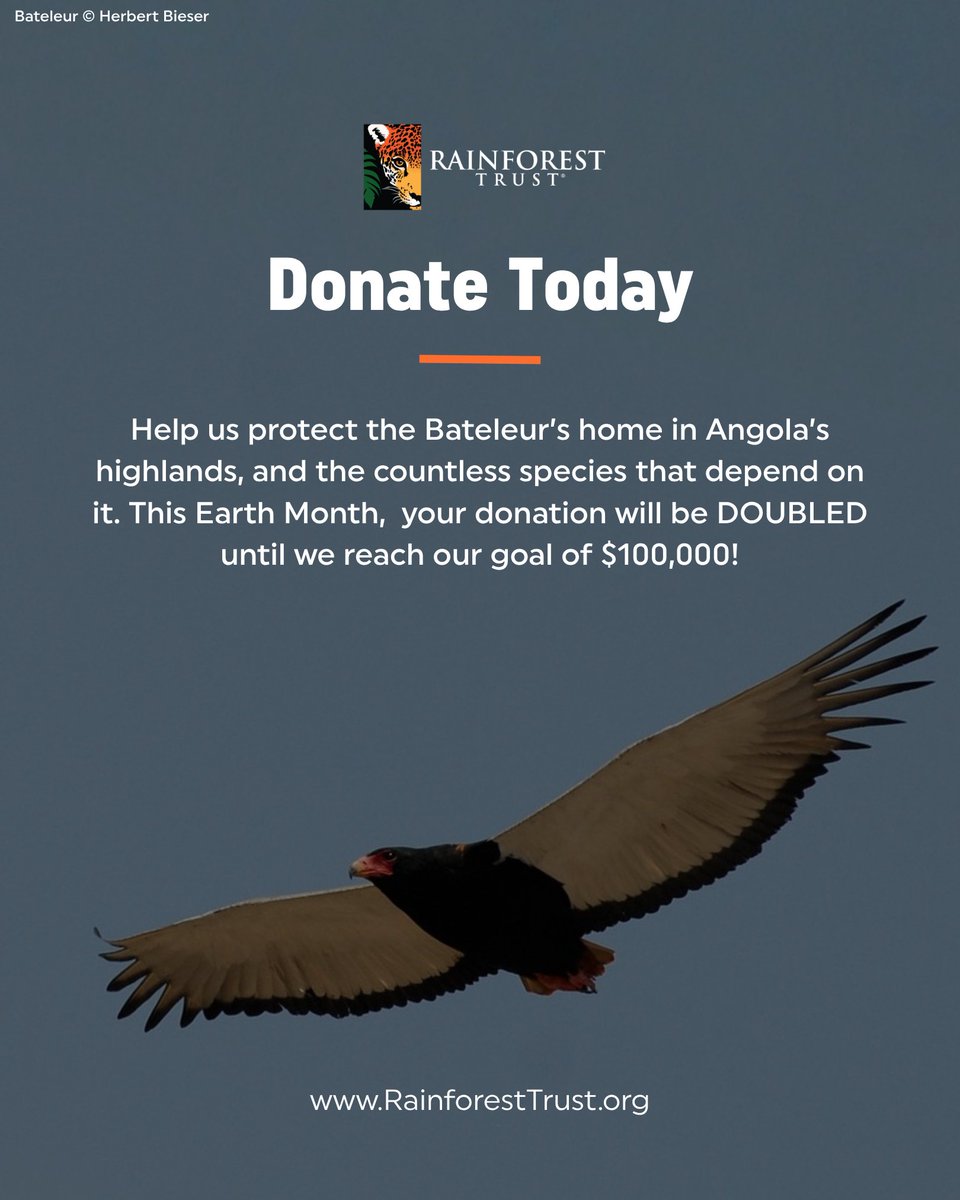 Rainforest Trust tweet media