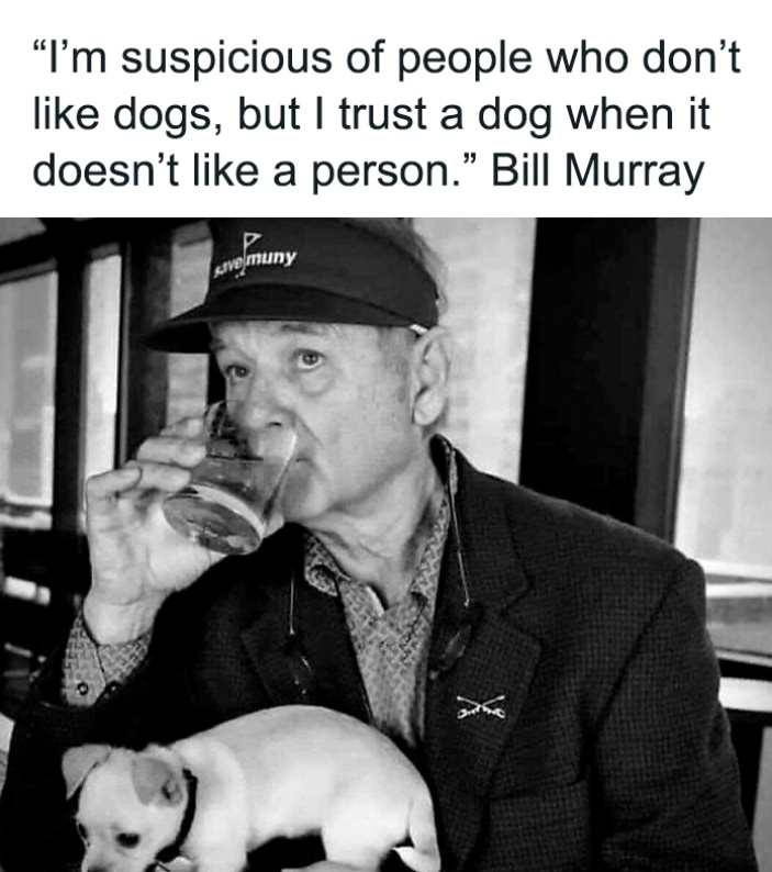 Eric Alper 🎧 (@thatericalper) on Twitter photo 