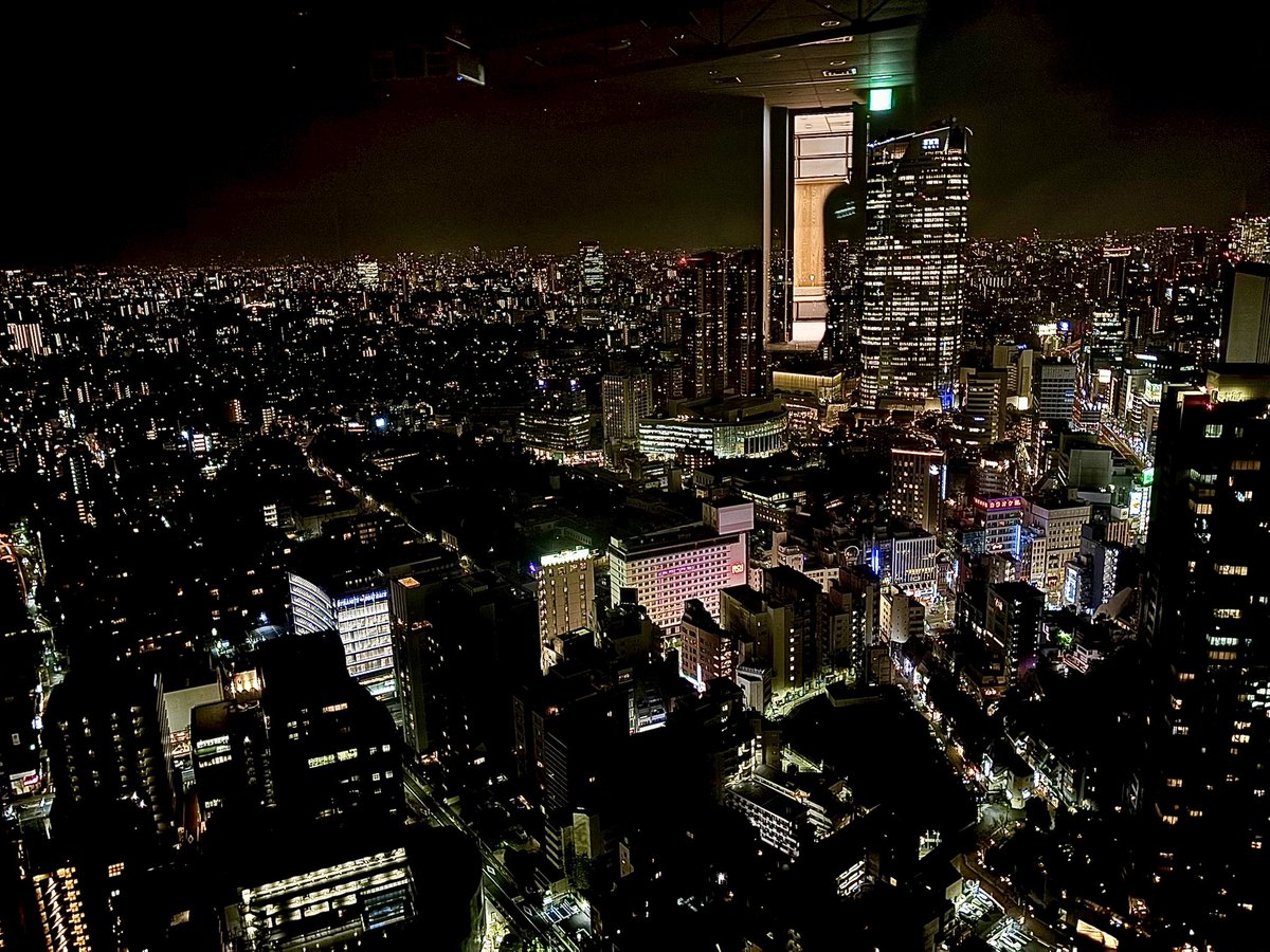 みことり🐥 tweet media