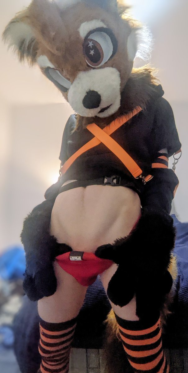 whisky_wah's tweet photo. Ill be a tease if I wanna~ 

#furrysnfw #murrsuit #furry #femboy #murr #murrsuiter https://t.co/D7uiBIOYaK