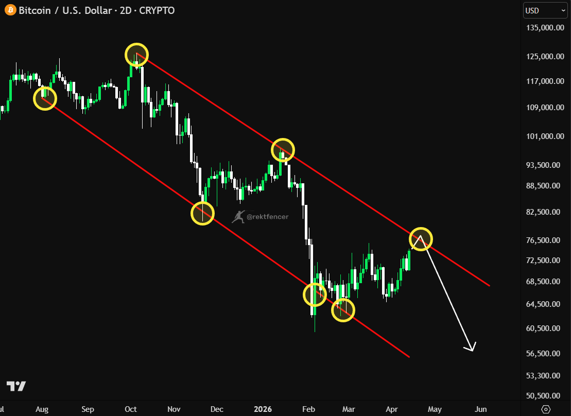 Rekt Fencer tweet media