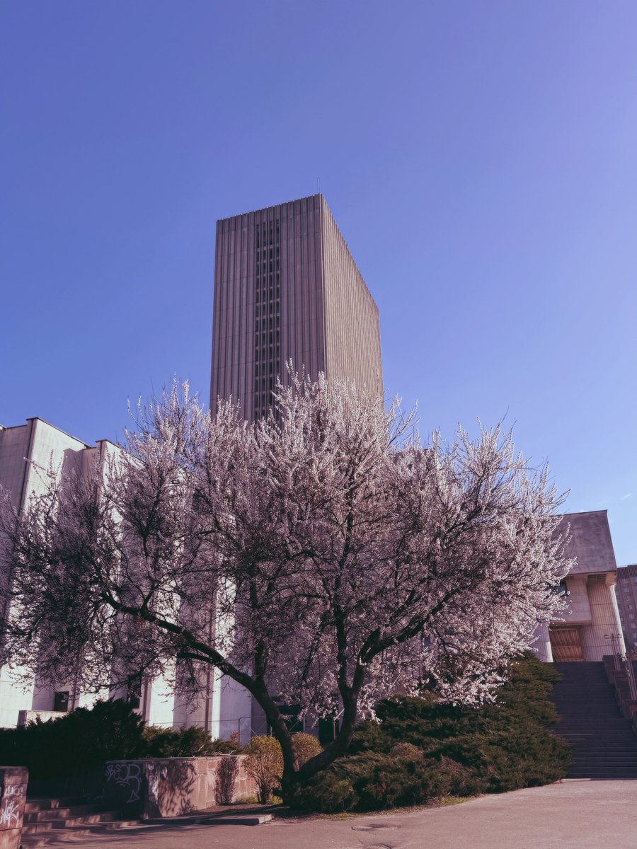 натаріус tweet media