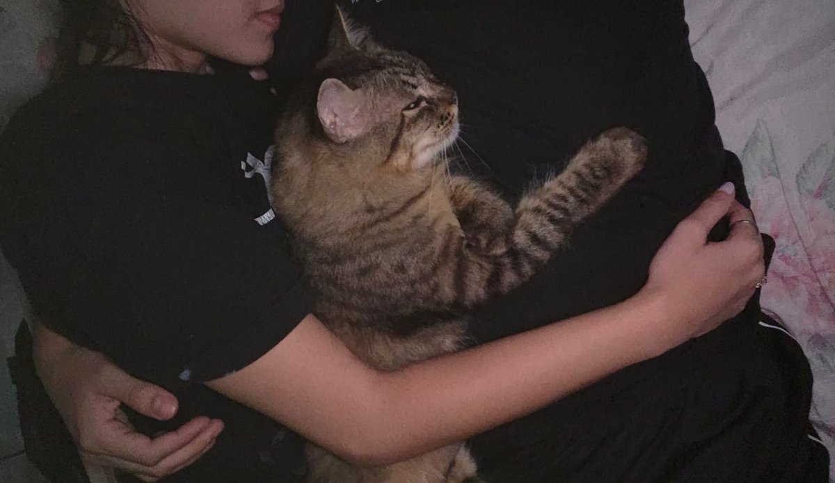 n aguentei essa foto que o caio bateu eu e o gato na mesma pose abraçando ele