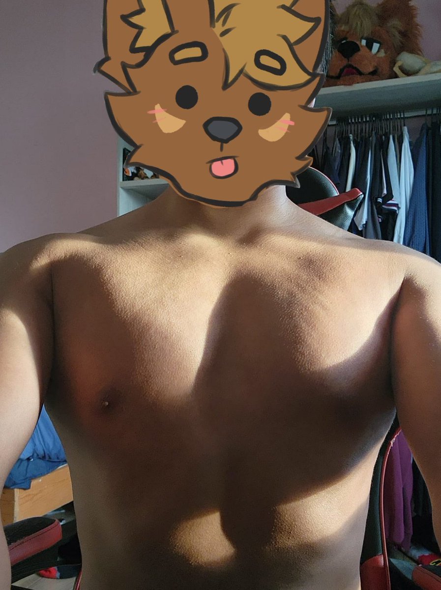 Brandon el fennec 🔜 Confuror 2026 tweet media