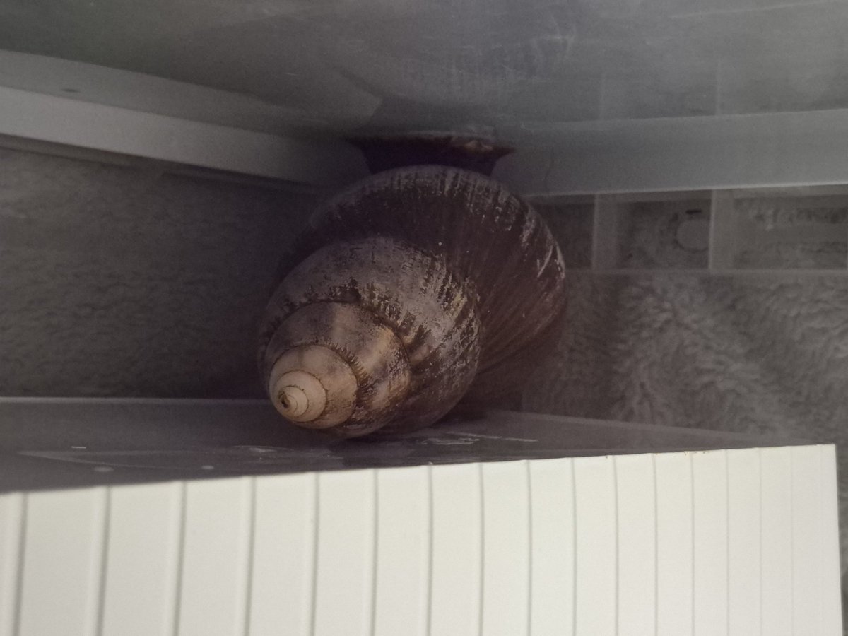 Robin_TRPG's tweet image. 흠.........