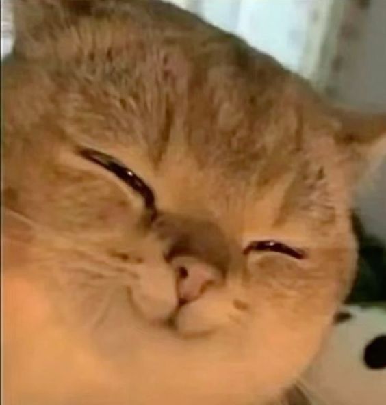 n😏🍰🤭🤘🍞🐱ชน์ tweet media